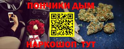 крисы Краснодар