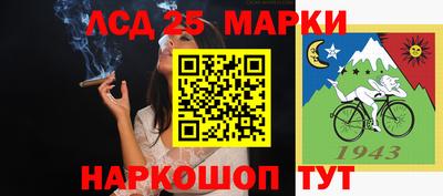 крисы Краснодар