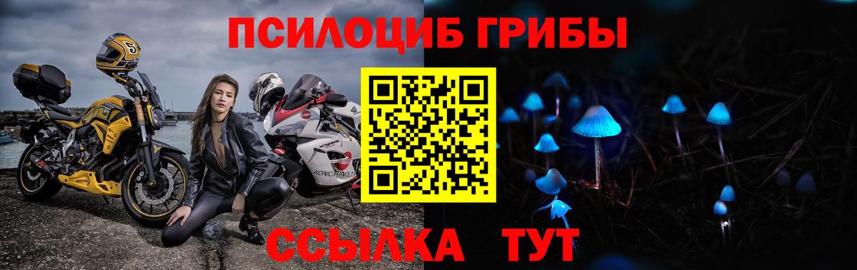 Псилоцибиновые грибы мицелий Янаул